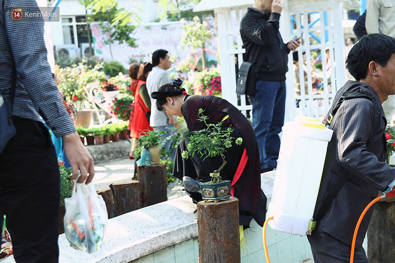 Hình ảnh xấu xí tại lễ hội hoa hồng Bulgaria: Người dân trèo rào, kéo hoa bất chấp để chụp ảnh